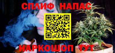 шишки Новозыбков