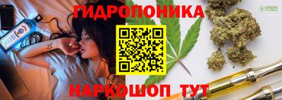 шишки Новозыбков