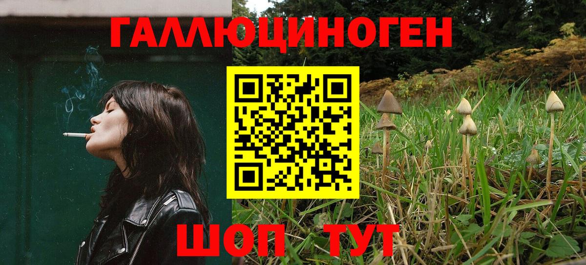 Галлюциногенные грибы мухоморы Североуральск