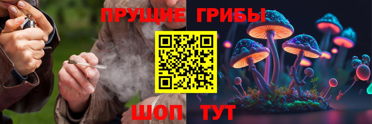 Псилоцибиновые грибы MAGIC MUSHROOMS  Вход с VPN  Псилоцибиновые грибы GOLDEN TEACHER  Североуральск 